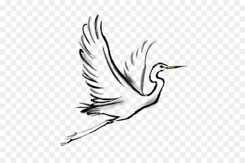 Bird Crane - white crane 