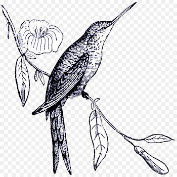Bird Digital stamp Drawing Postage Stamps - Bird 