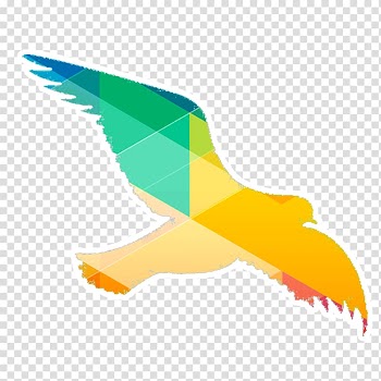 Bird, Dove color silhouette material transparent background PNG clipart