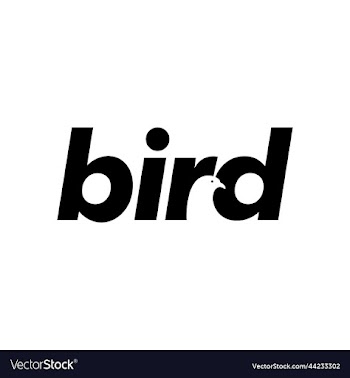 bird dove pigeon eagle head wordmark logo design