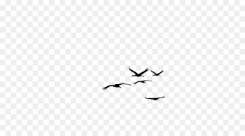 Bird Download Computer file - Flying Bird Silhouette 