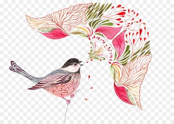 Bird Drawing Animal Watercolor painting Illustration - Color fairy tale 