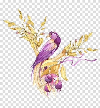 Bird Drawing, Birds transparent background PNG clipart