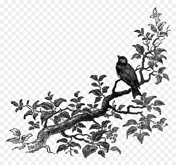 Bird Drawing Clip art - botanical essence 