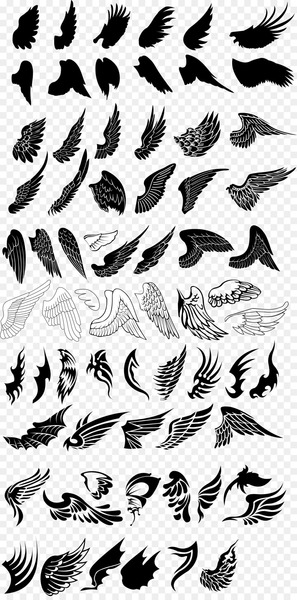 Bird Drawing Euclidean vector - Variety wings vector collection 