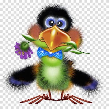 Bird Drawing Funny animal , toucan transparent background PNG clipart
