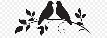 Bird Drawing Illustration - Love Doves Silhouette PNG Clip Art 
