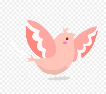 Bird Drawing Vector graphics Image - aves vector 