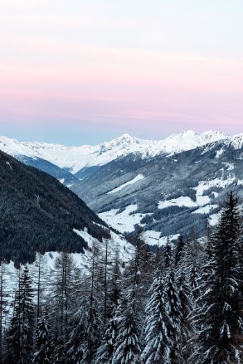 bird'e-eye view photography of snow-capped mountains nearby pine trees