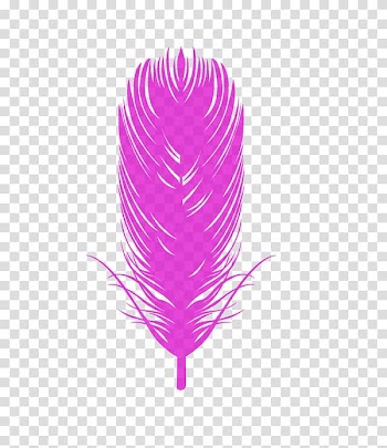 Bird Eagle feather law Euclidean , Colored feathers transparent background PNG clipart