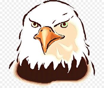 bird eagle head clip art beak