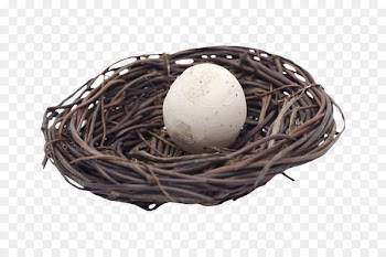 Bird Easter egg Easter egg - Nest 