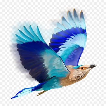 Bird Editing PicsArt Photo Studio - flock of birds 