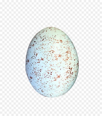 Bird Eggs Download - Spotted eggs 
