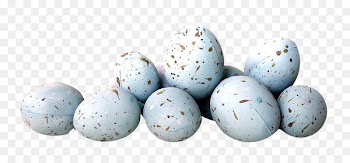 Bird Eggs Duck Century egg - A pile of eggs 