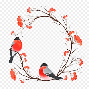 Bird European robin Christmas Snowman Painting - Valentine's Day wreath birds 