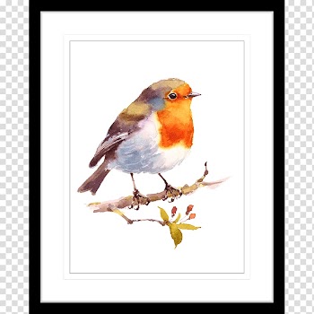 Bird European robin Watercolor painting Drawing, bird watercolor transparent background PNG clipart