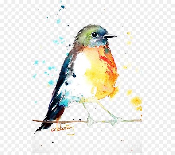 Bird European robin Watercolor painting Drawing - Birds 