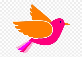 Bird Face Clip Art Free Clipart Images - Clip Art Bird Png
