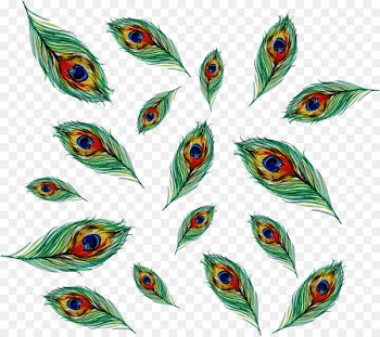 Bird Feather Asiatic peafowl Euclidean vector - Vector hand-painted peacock feathers 