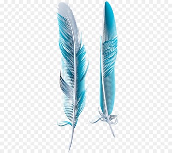 Bird Feather Blue Asiatic peafowl - Blue Feather 