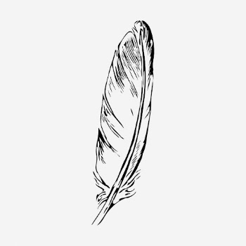 Bird feather drawing, vintage object | Free Photo - rawpixel