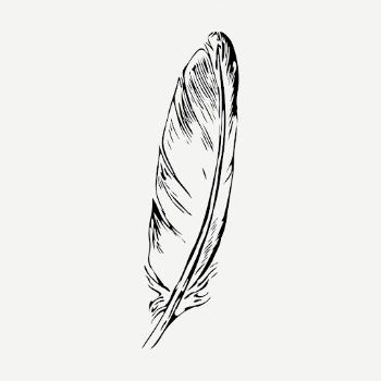 Bird feather drawing, vintage object | Free PSD - rawpixel