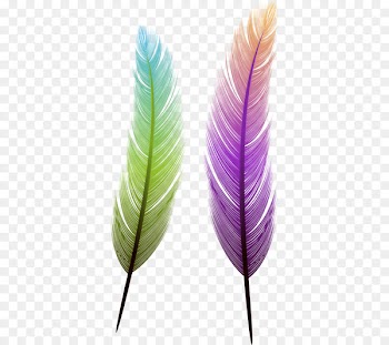 Bird Feather Euclidean vector - feather 