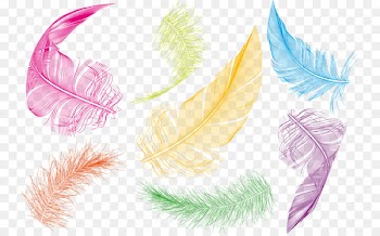 Bird Feather Goose Clip art - Colored feathers 