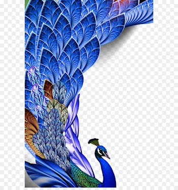 Bird Feather Huawei P10 Asiatic peafowl - Peacock feather 