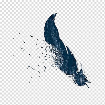 Bird Feather T-shirt Flight Cygnini, Hand-painted abstract feathers and birds transparent background PNG clipart