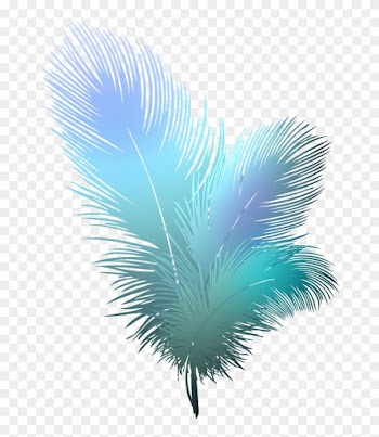 Bird, Feather Transparent - Feather Clipart Transparent Background