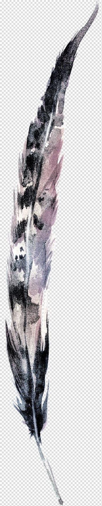 Bird Feather Watercolor painting Euclidean , Peacock feather material transparent background PNG clipart