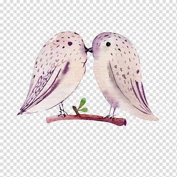 Bird Feather Watercolor painting Throw pillow, bird transparent background PNG clipart