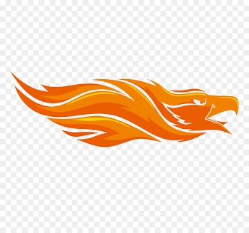 Bird Flame Phoenix - eagle 