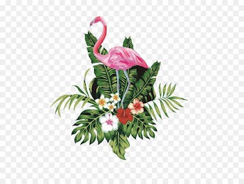Bird Flamingo - Pink flamingo 