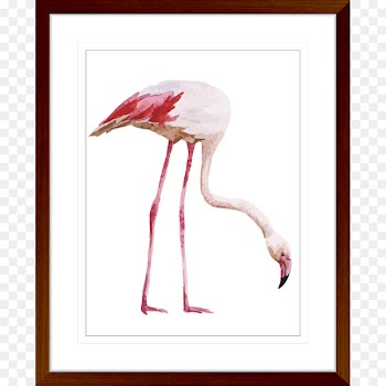 Bird Flamingo Royalty-free Drawing Vector graphics - bird 