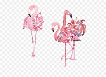Bird Flamingos Amazon.com Crane - Hand-painted three pink flamingos 