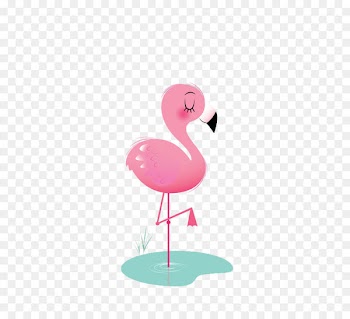 Bird Flamingos Animation Icon - Flamingos 