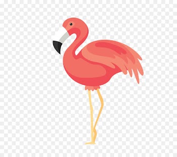 Bird Flamingos Euclidean vector - Pink Flamingos 
