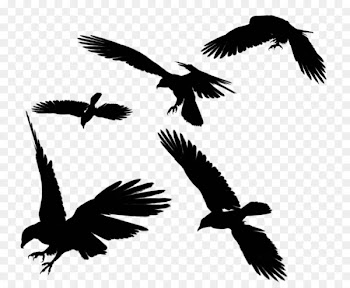 Bird flight Bird flight Clip art - Raven Flying PNG Photos 