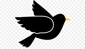 Bird flight Clip art Eastern bluebird Mountain bluebird - bird 