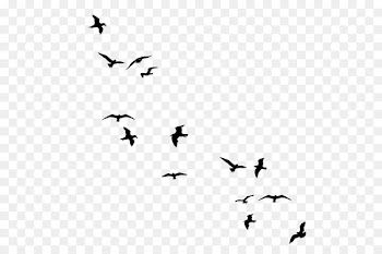 Bird flight Drawing Clip art - fly pigeons 