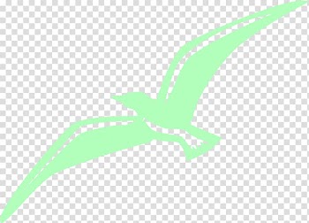 Bird Flight Drawing Watercolor painting, Hand painted green birds transparent background PNG clipart