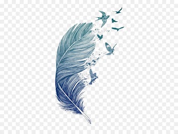 Bird flight Flight feather Bird flight - Bird 