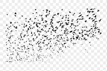Bird flock png silhouette sticker, | Free PNG - rawpixel