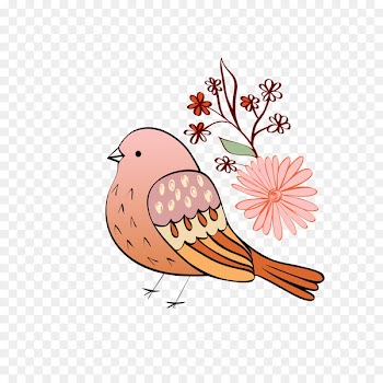 Bird Flower - Birds and Flowers 