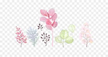 Bird Flower Butterfly Watercolor painting - Cartoon color hand-painted watercolor flowers and leaves 