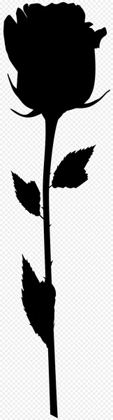 Bird Flower Clip art Plant stem Leaf -  