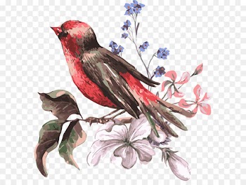 Bird Flower Euclidean vector Illustration - Hand-painted Chinese style bird 